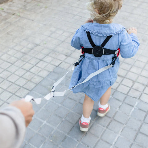 Safety Harness - Felix Fox_Toybox