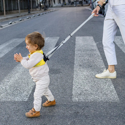 Safety Harness - Leeroy Lion_Toybox.ae