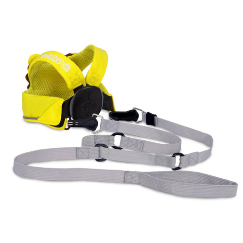 Safety Harness - Leeroy Lion_Toybox.ae