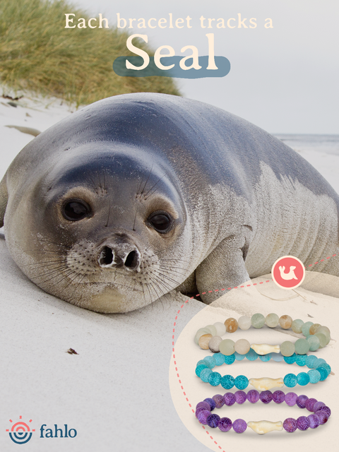 Fahlo The Glide Bracelet Seal Sky Stone