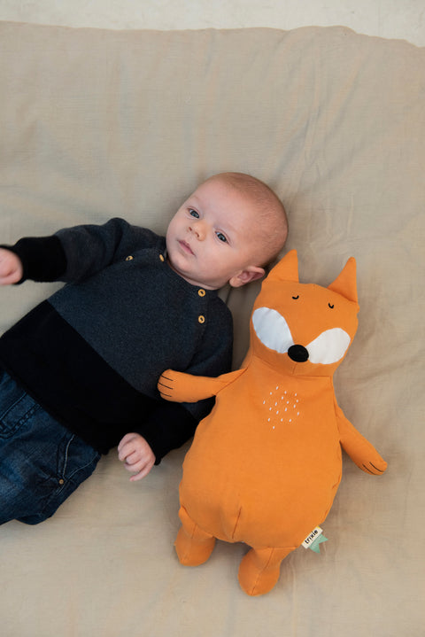 Trixie:Plush Toy Large - Mr. Fox