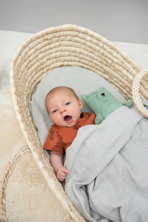 Trixie:Plush toy small - Mr. Polar Bear