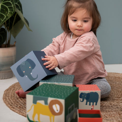 Trixie - Stacking blocks