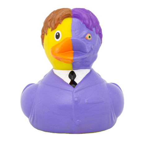 Two-Face Duck
