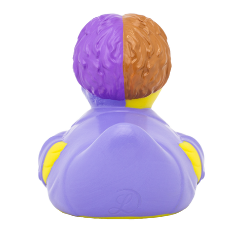 Two-Face Duck
