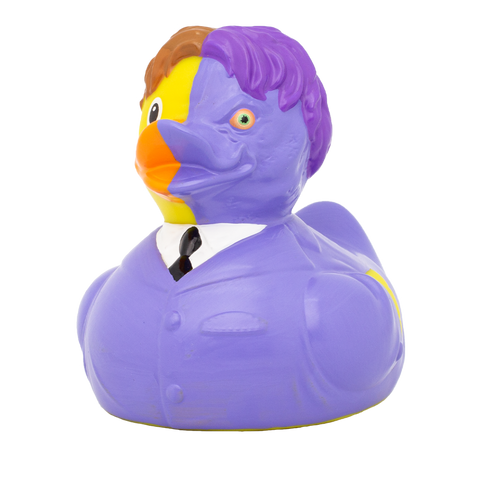 Two-Face Duck
