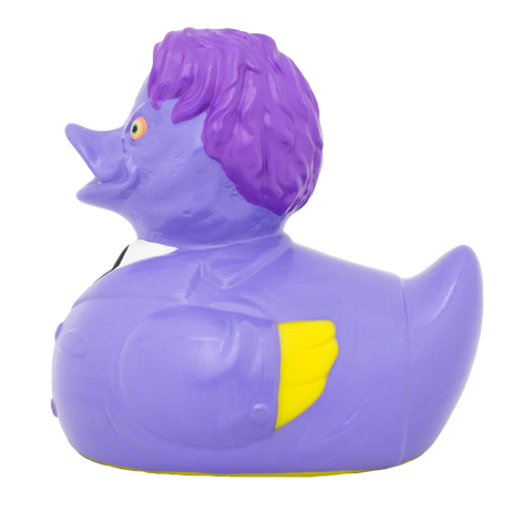 Two-Face Duck