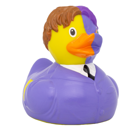 Two-Face Duck