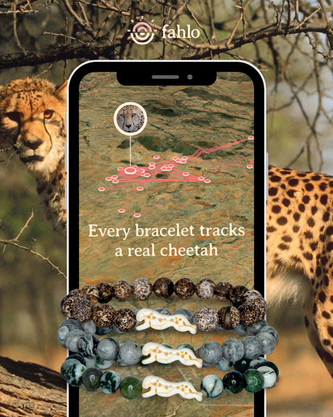 W-SPR-CLOUD_Toybox.ae