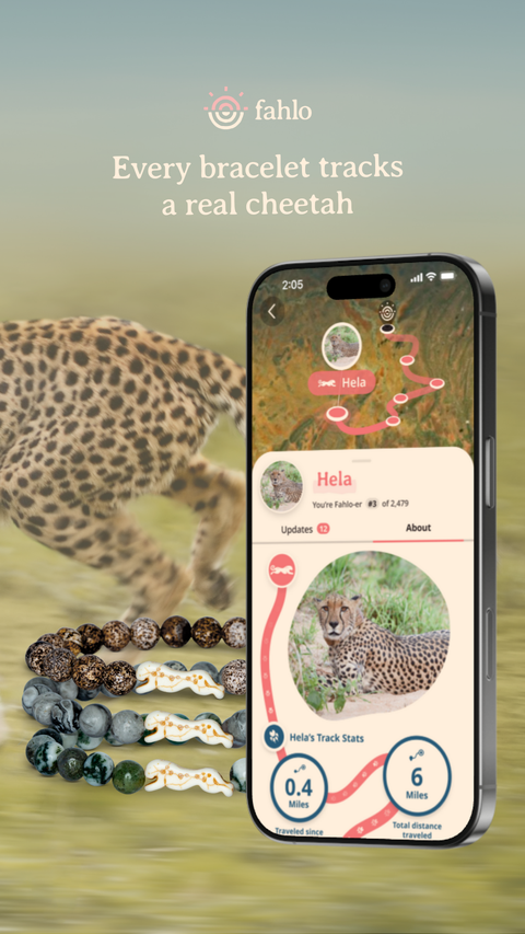 W-SPR-CLOUD_Toybox.ae