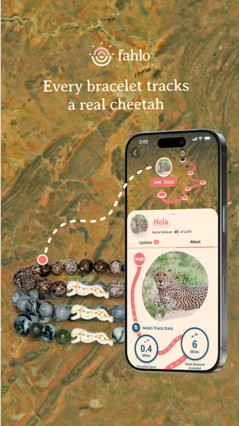 W-SPR-CLOUD_Toybox.ae