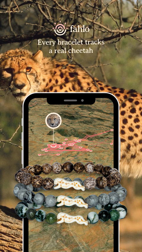 W-SPR-ACACIA_Toybox.ae