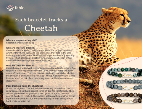 W-SPR-ACACIA_Toybox.ae