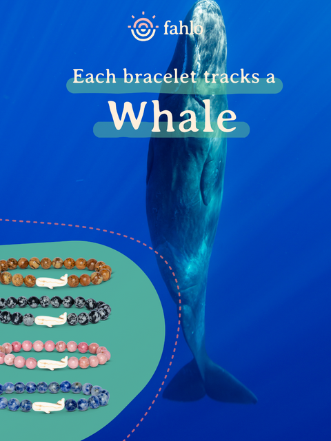 Whale_Bracelet_Poster_Toybox.ae
