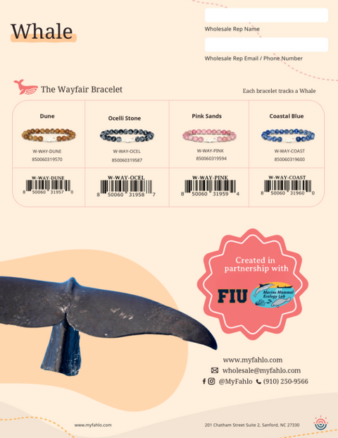 Whale_Launch_-_IG_Story_Toybox.ae