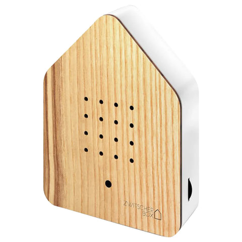 Zwitscherbox - Ash Wood Special Edition
