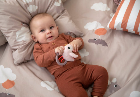 Sensory Rattle W/Teether Birdee Powder