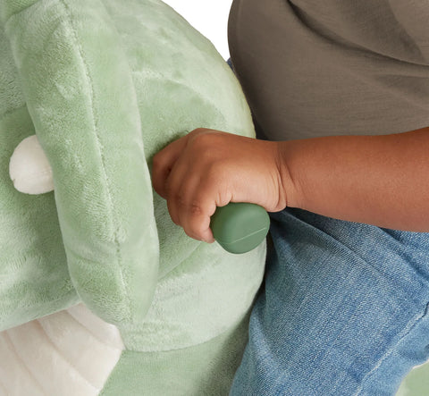 Radio Flyer Dash the Rolling Dinosaur