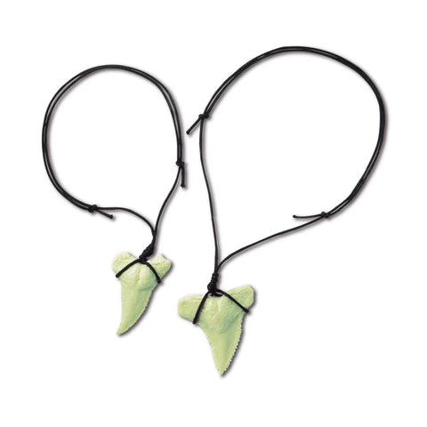 4M KidzLabs/Dig Glow Shark Tooth Fossils