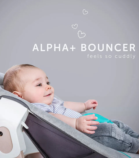 HAUCK  Alpha Bouncer 2 In1 / Bear Hearts Grey