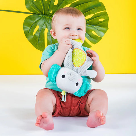 Bright Starts Snuggle & Teethe Plush Teether Toy - 1 Piece