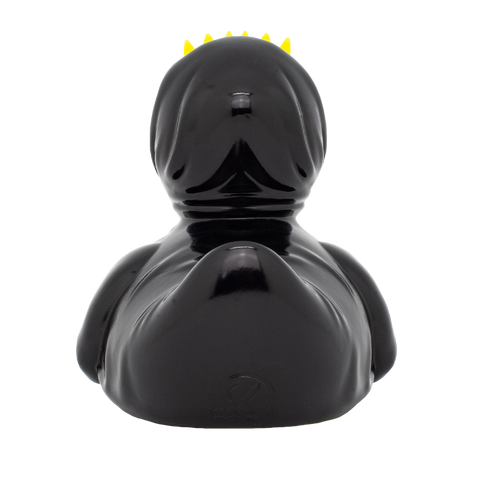 Square Head Duck