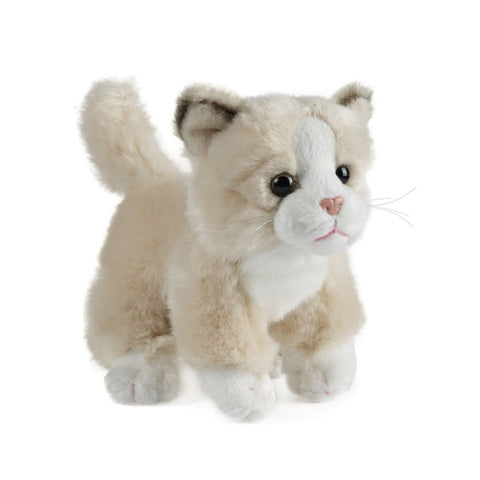 LIVING NATURE Cat Small