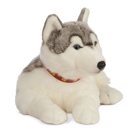 Giant Husky Dog