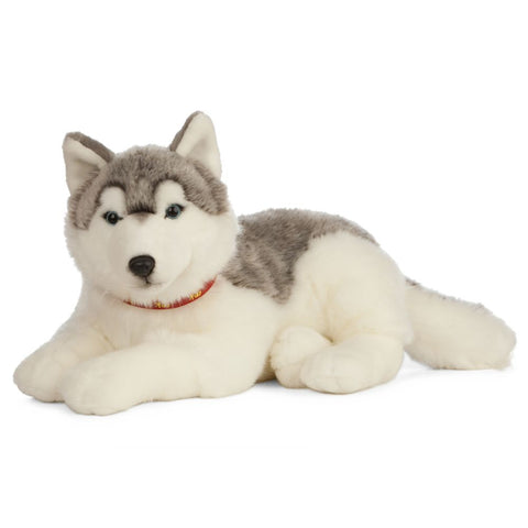 Giant Husky Dog