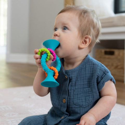 pipSquigz Loops_Toybox.ae