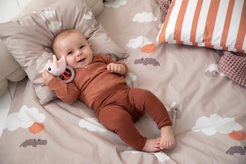 Sensory Rattle W/Teether Birdee Powder