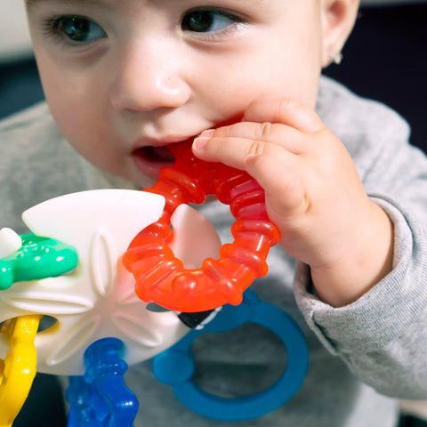 sensory_Toybox.ae