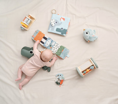 Spinner Activity Toy Birdee Colour Mix