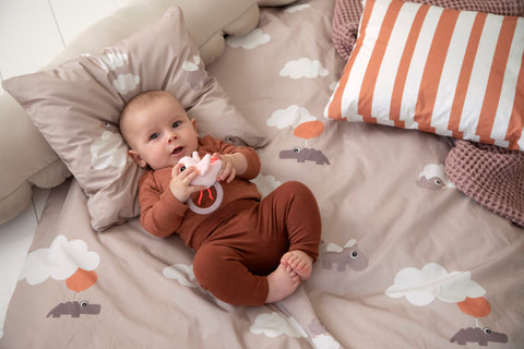 Sensory Rattle W/Teether Birdee Powder
