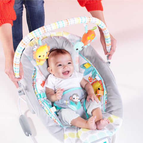 Bright Starts - Whimsical Wild Comfy Bouncer Seat with Soothing Vibration and Melodies