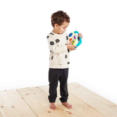 Baby Einstein Toddler Jams Musical Toy