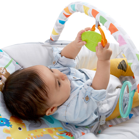 Bright Starts Safari Fun - Vibrating Bouncer