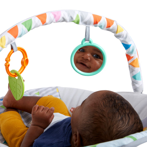 Bright Starts Safari Fun - Vibrating Bouncer