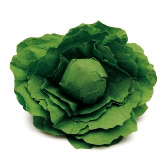 Lettuce - www.toybox.ae