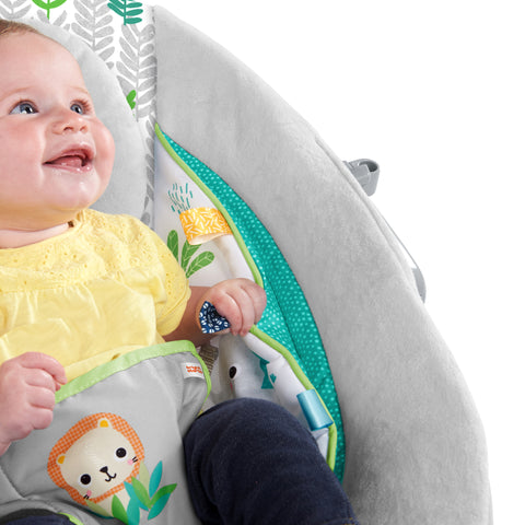 Bright Starts Jungle Vines(Tm) Cradling Bouncer