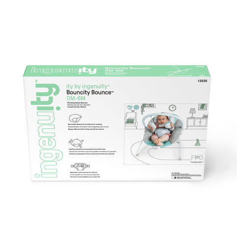 Ingenuity Ity By Ingenuity Bouncity Bounce Vibrating Deluxe Bouncer