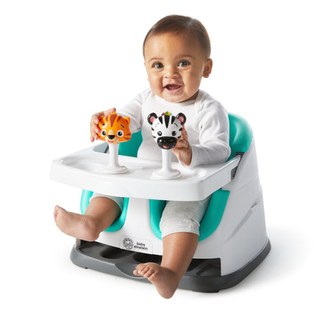 Baby Einstein Fun Seat