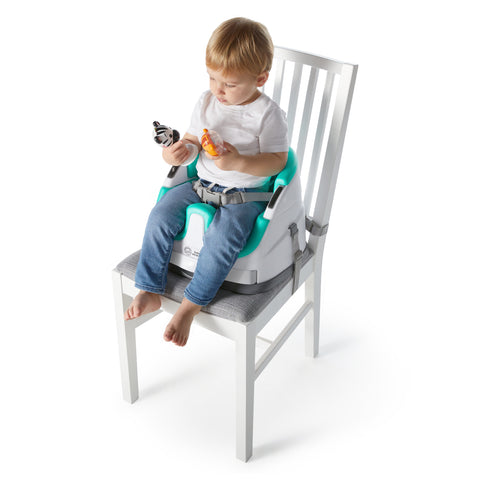Baby Einstein Fun Seat