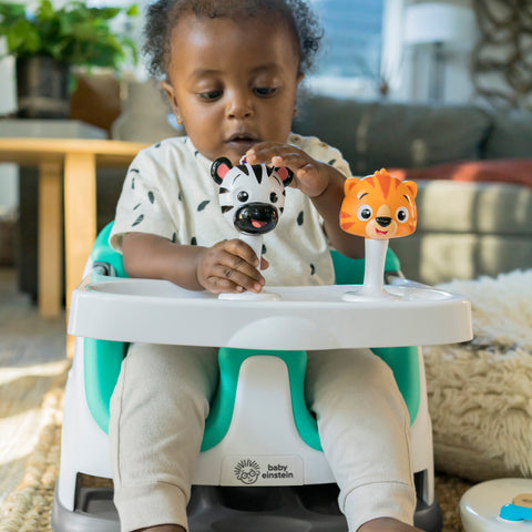 Baby Einstein Fun Seat