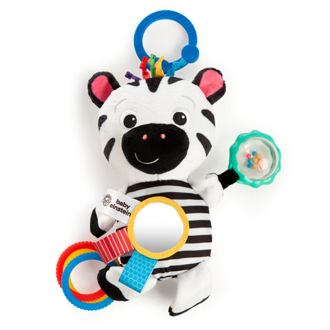 Baby Einstein Playful Pal
