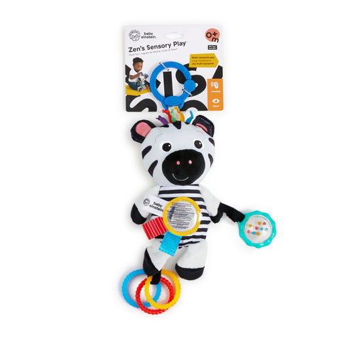 Baby Einstein Playful Pal