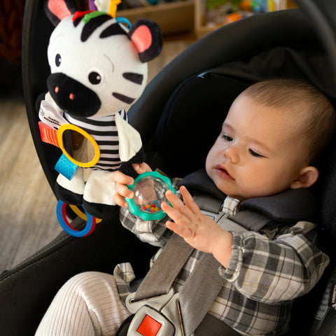 Baby Einstein Playful Pal