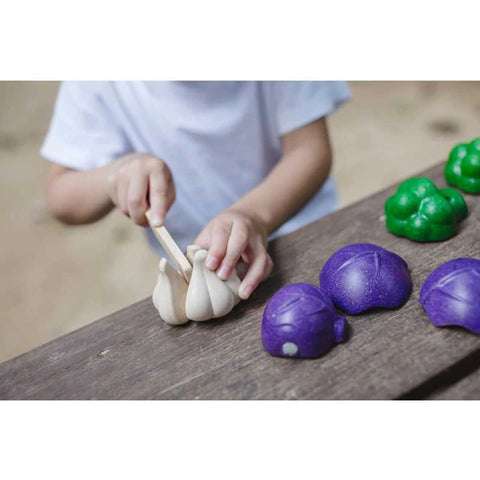 Plantoys Wooden 5 Colors Veggie Set - www.toybox.ae
