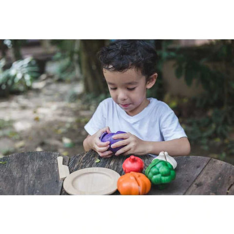 Plantoys Wooden 5 Colors Veggie Set - www.toybox.ae