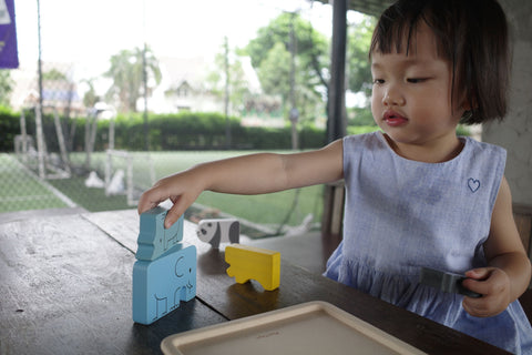 Animal Puzzle Game - www.toybox.ae